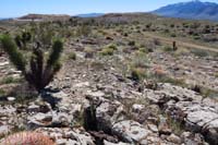 080-four_small_steam_vents_about_70_feet_north_of_Radio_Tower-Ridge1_TJ
