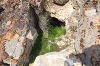 081-steam_vent_with_some_moist_air_causing_vegetation_to_grow