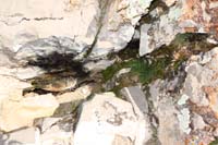 086-another_steam_vent_with_some_moist_air_causing_vegetation_to_grow