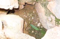 092-zoom_view_of_another_steam_vent