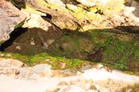 093-another_steam_vent