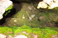 094-zoom_view_of_another_steam_vent