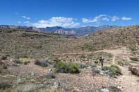 100-scenic_view_of_Ridge_trail_as_it_bends_to_the_west_becoming_Three_Amigos