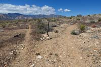 107-looking_back-came_from_Bomb_Voyage_ahead,going_up_Little_Jimmy_Switchbacks_to_R,then_return