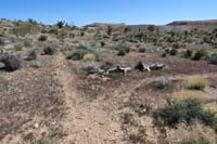 112-trail_junction-Little_Jimmy_to_R,Bomb_Voyage_behind_and_ahead_were I'm_going_next,return,then_Little_Jimmy