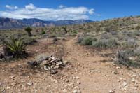 113-Radio_Tower-Bomb_Voyage_TJ-looking_back_to_Bomb_Voyage,going_back