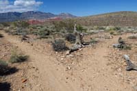 118-Bone_Shaker-Little_Jimmy_TJ-came_from_Little_Jimmy_to_R,heading_down_Bone_Shaker_to_L