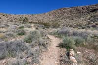 123-continuing_on_trail_to_connect_dots_with_Three_Amigos-Bomb_Voyage_TJ