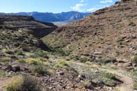 138-scenic_view_along_Bob_Gnarly_Trail