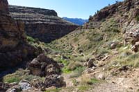 141-scenic_view_along_Bob_Gnarly_Trail