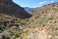 142-scenic_view_along_Bob_Gnarly_Trail