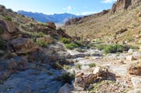 146-4th_wash_crossing