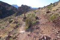 150-Bob_Gnarly_Overlook_TJ-spur_trail_to_R_scurries_up_slope,then_bends_to_R_to_provide_great_scenic_view