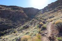005-scenic_view_along_the_trail