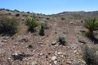 026-faint_trail,but_it_can_be_reasonable_followed_as_long_as_you_are_attentive