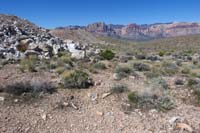 029-faint_Litterbox_Trail_heads_east,going_that_way