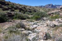 043-now_the_trail_is_simply_trudging_through_a_wash