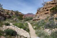 052-scenery_along_connector_trail_through_wash