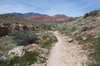 054-scenery_along_connector_trail_through_wash