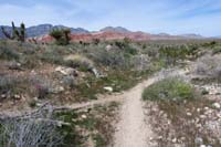 055-trail_junction_for_Brokeback_Mountain_to_right_and_left,connect_to_left,then_continue_right