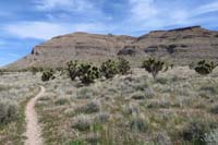 059-scenic_view_heading_back