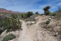 061-connector_to_Visitor_Center_Overlook_Trail_to_L,turning_R_continuing_on_Brokeback_Mountain,then_L