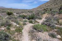 063-trail_crosses_a_wash