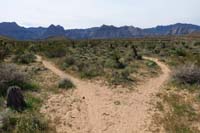 073-looking_back,came_from_left,will_visit_right_on_way_back