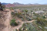 081-checked_out_this_spur_trail_that_simply_led_to_wash