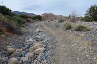 090-travels_up_a_scenic_wash