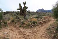 095-trail_junction_of_Visitor_Center_Overlook_to_L,Cowboy_Trails_TH_connector_to_R