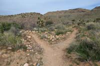 096-looking_back_to_trail,came_from_L,heading_R_after_connecting_to_TH