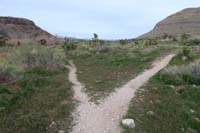 100-Bone_Shaker_to_R,continue_L_to_complete_circle_around_Visitor_Center_Overlook