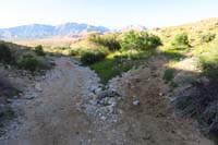 117-trail_junction-Rock_Garden_to_L,connector_to_Bone_Shaker_to_R,heading_R