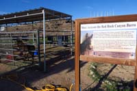 119-Jackass,the_Red_Rock_Canyon_Burro