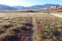 126-spur_trail_paralling_the_road_leading_to_Bone_Shaker_Trail