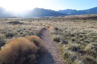 127-final_trail_for_the_day_from_that_junction_leading_to_trailhead-it_cuts_corner_from_road_to_right