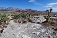 06-Rock_Garden_WP_TJ-L_leads_to_trailhead-parking,came_from_R,returning_R-simply_connected_trails