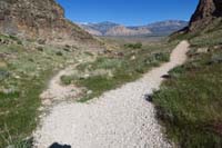 10-looking_back_to_Cowboy_Cave_S_WP_TJ-trail_splits,both_reconnect