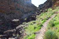 16-trail_through_Cave_Canyon_alternate_avoids_the_scrambling_required_in_the_boulder_field_below