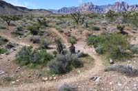 02-trail_diverges,then_meets_just_ahead