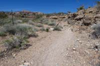 03-break_in_the_fence_as_the_trails_meet_again