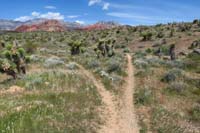 04-trail_junction-Tunneling_into_Red_Rock_behind,return_from_Santeria_to_L,going_up_Santeria_DH_to_R