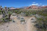 05-trail_junction-Santeria_DH_to_R,going_up_Santeria_Medio_to_L