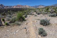 06-new_built_trail_with_trail_markers_and_cairns,not_as_well_defined_as_the_previous_trail