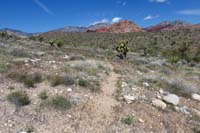 12-trail_junction-dirt_road_to_R_and_L,looking_N_as_Santeria_Trail_continues