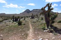 13-trail_junction-dirt_road_to_R_and_L,looking_S_as_Santeria_Trail_continues-going_S