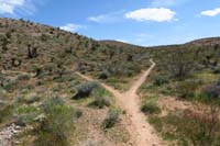 14-trail_junction-Brokeback_Mountain_to_L,going_up_The Bronc_to_R