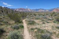 15-looking_back,mountain_biker_informed_me_this_is_The_Bronc_Trail,he_is_heading_towards_Brokeback_Mtn