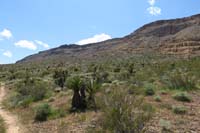 28-pretty_scenery_at_base_of_Blue_Diamond_Hill